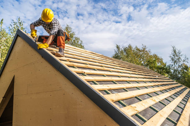 Best Storm Damage Roof Repair  in Norman Park, GA
